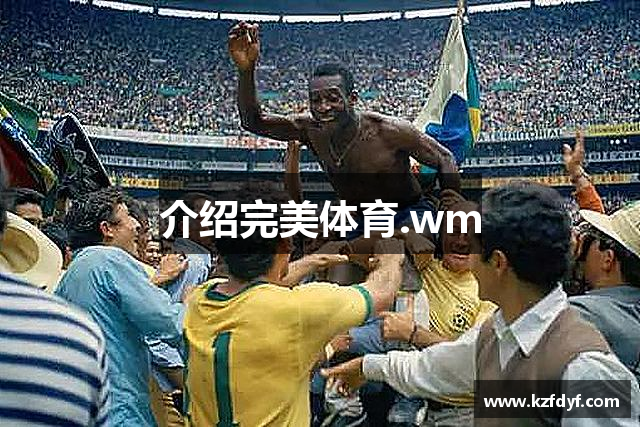 介绍完美体育.wm